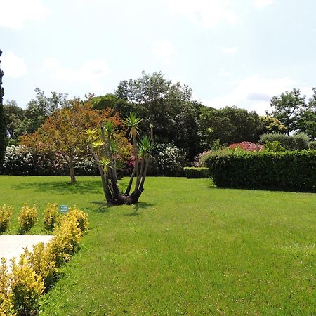 Ginkgo Studio - Piscine, Proche De La Mer, Golf, Wifi Mandelieu La Napoule Ngoại thất bức ảnh